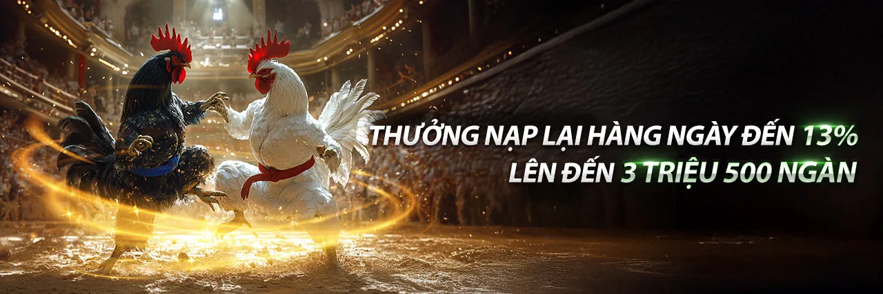 Cập nhật mới nhất và Nâng cấp nền tảng hh88